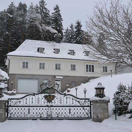 Schwarwald Apartment Schluchsee Luaran gambar